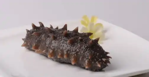 Is Sea Cucumber Peptide the Future of Ocean-Derived Supplements?
